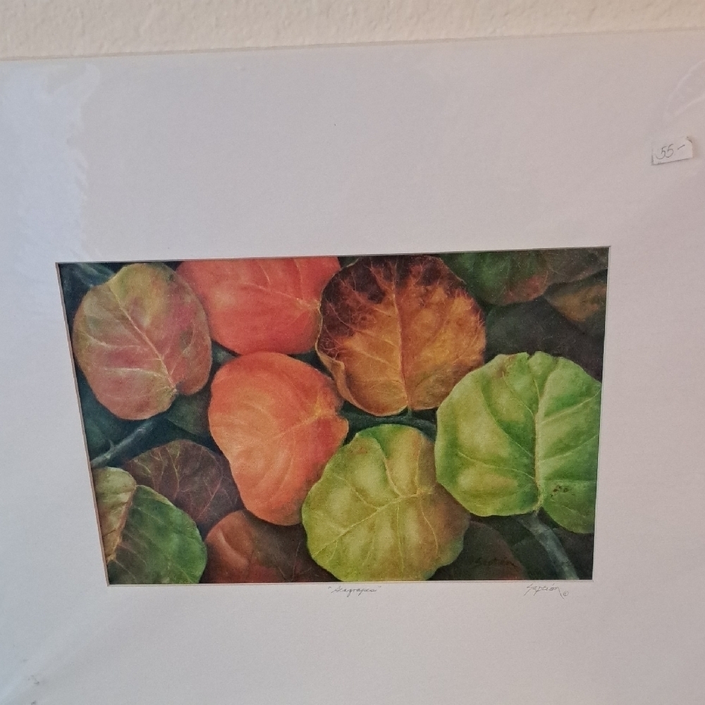 SEAGRAPES Art GICLEE Print